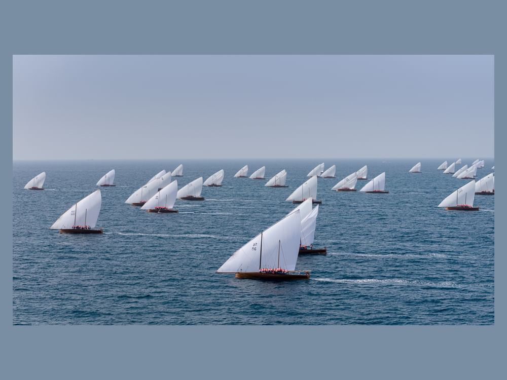 Traditional wooden dhows with large white sails compete in a regatta across the turquoise waters of Abu Dhabi.