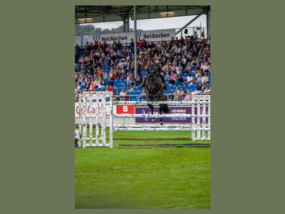 UAE riders rise to Aachen Challenge with four strong world championship rounds