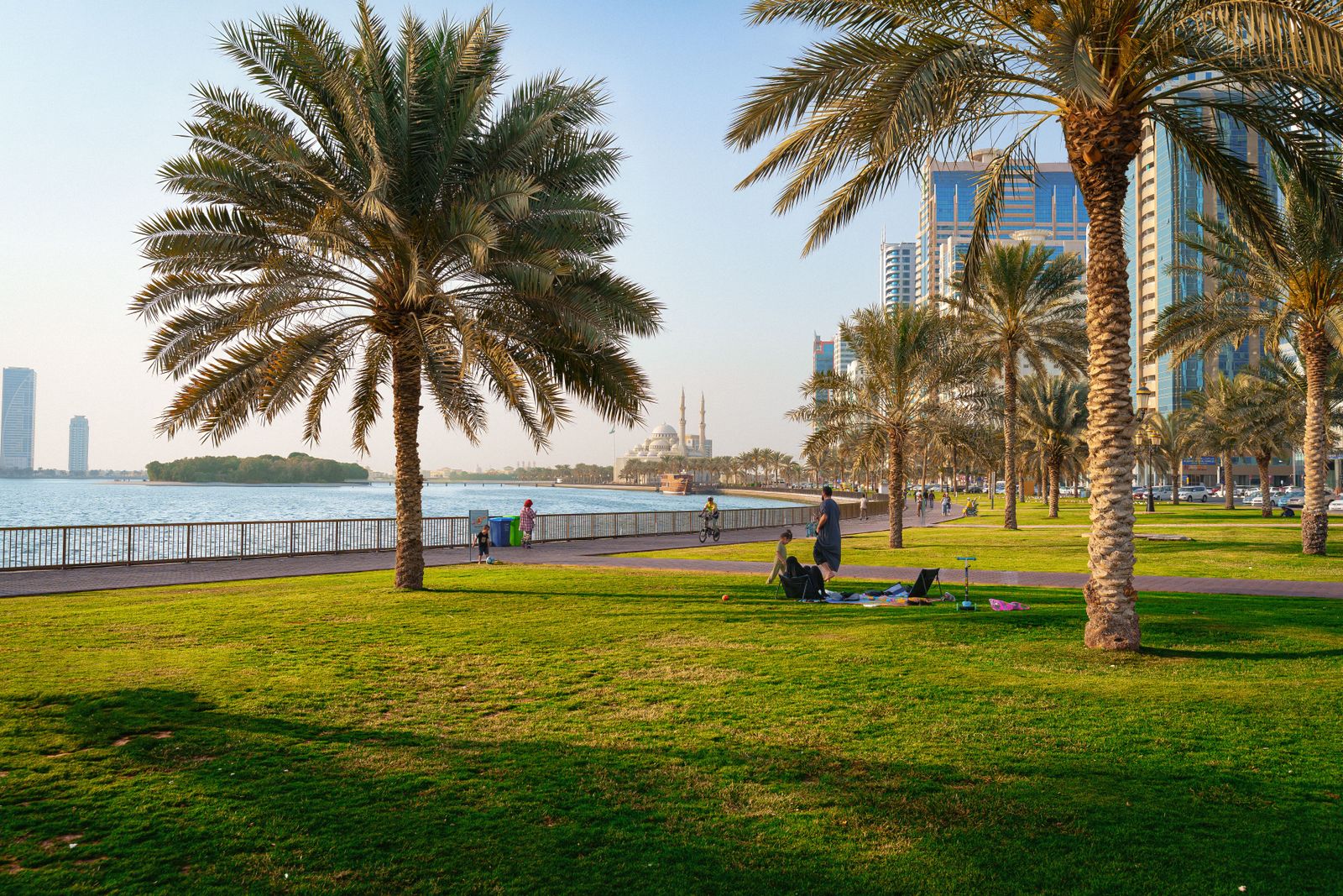 A modern glass office building stands amidst desert greenery under a clear blue sky at the Sharjah innovation hub.