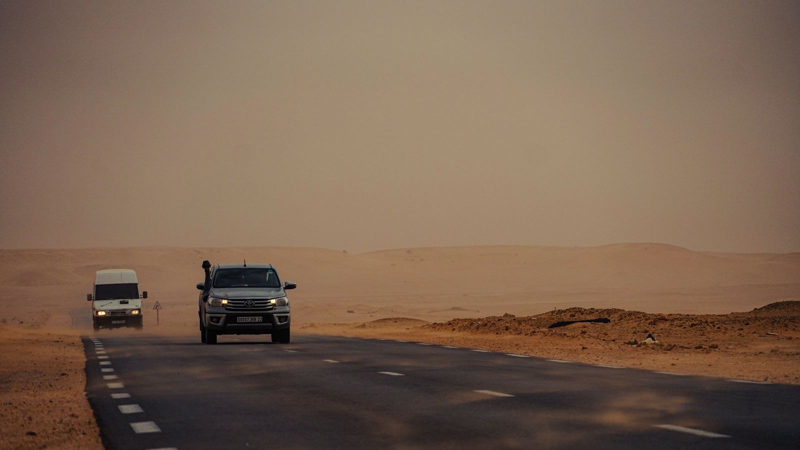 Rows of young Ghaf trees form a long green barrier alongside a paved highway stretching toward the desert horizon.